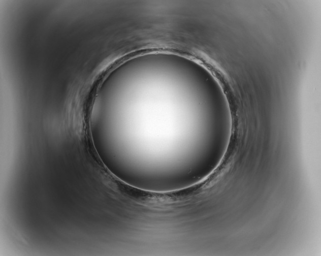 X0000099951215200805231315