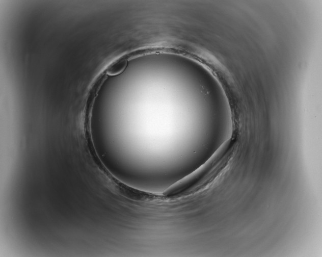 X0000099951216200805231315