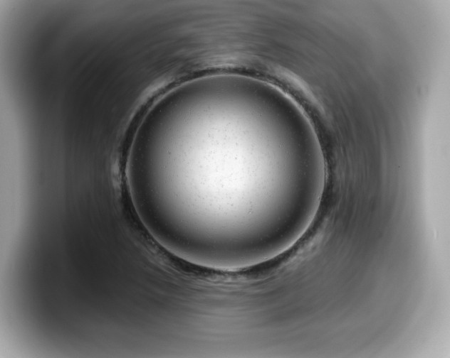 X0000099951218200805231315