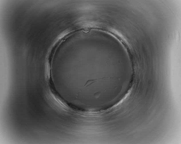X0000099951219200805231315