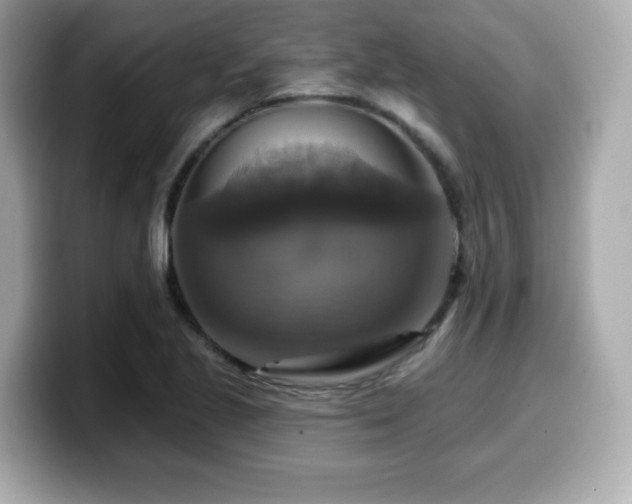 X0000099951221200805231315