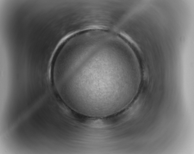 X0000099951222200805231315