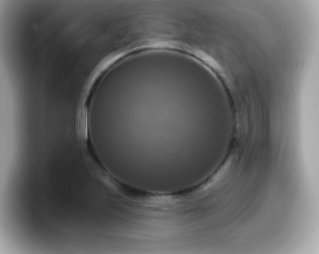X0000099951223200805231315
