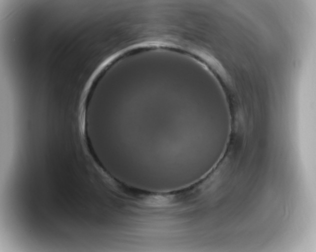 X0000099951224200805231315