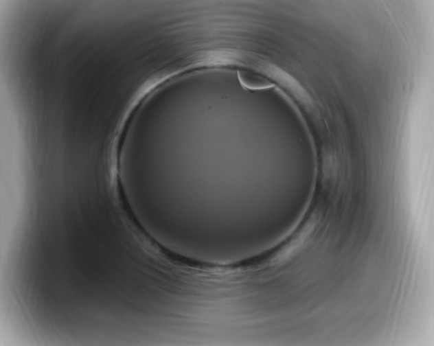 X0000099951226200805231315