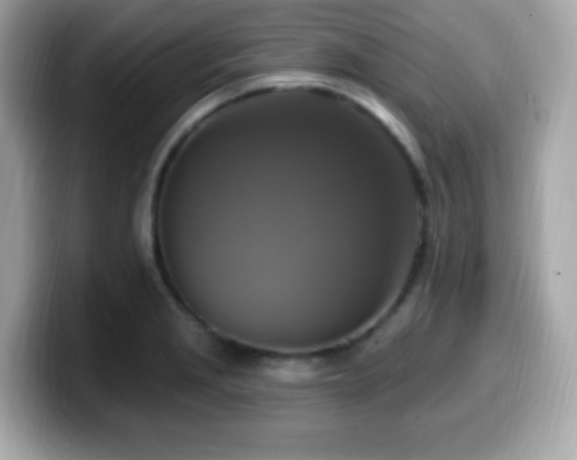 X0000099951229200805231315