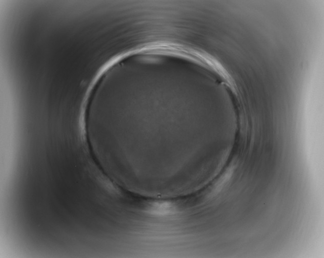X0000099951230200805231315
