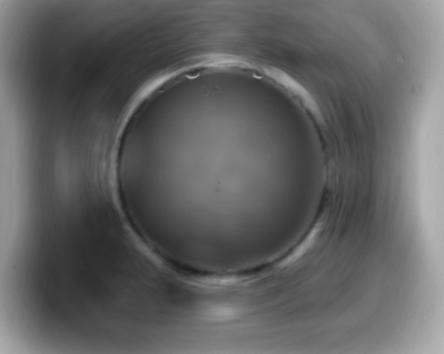 X0000099951231200805231315