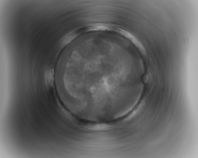X0000099951233200805231315