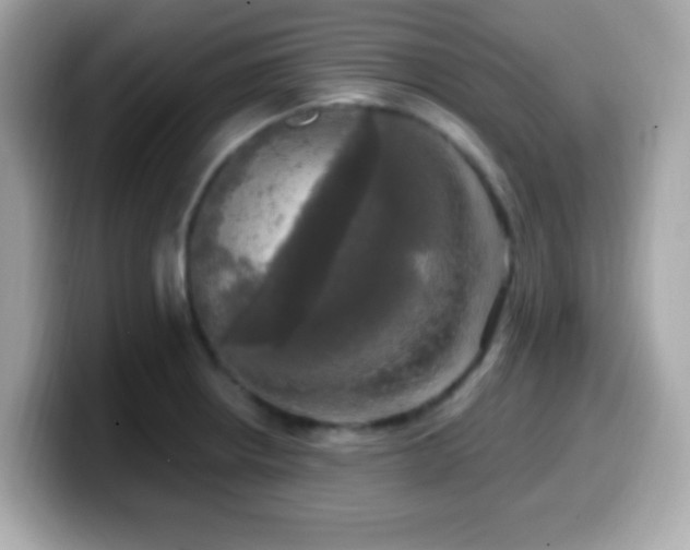 X0000099951234200805231315