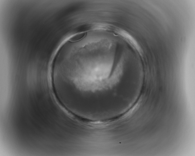 X0000099951235200805231315