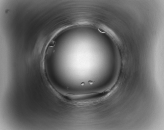 X0000099951236200805231315