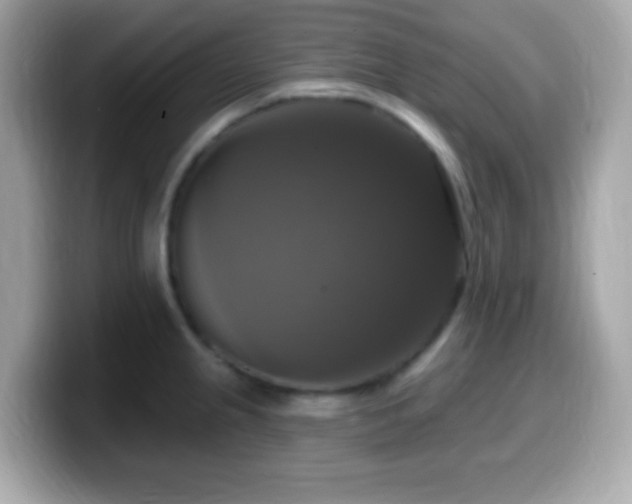 X0000099951237200805231315