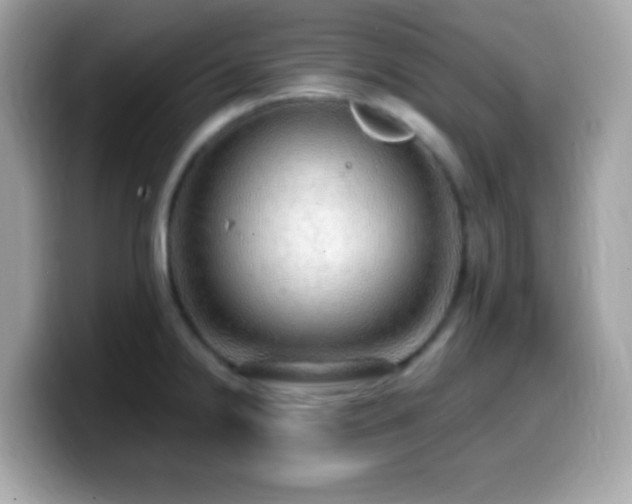 X0000099951238200805231315