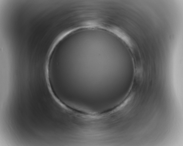 X0000099951239200805231315