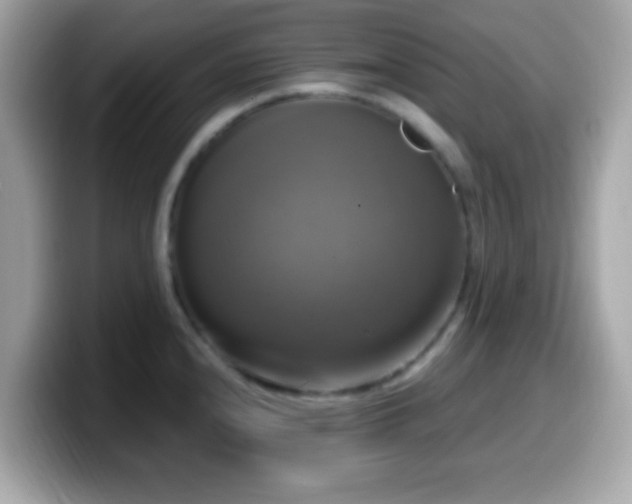 X0000099951240200805231315