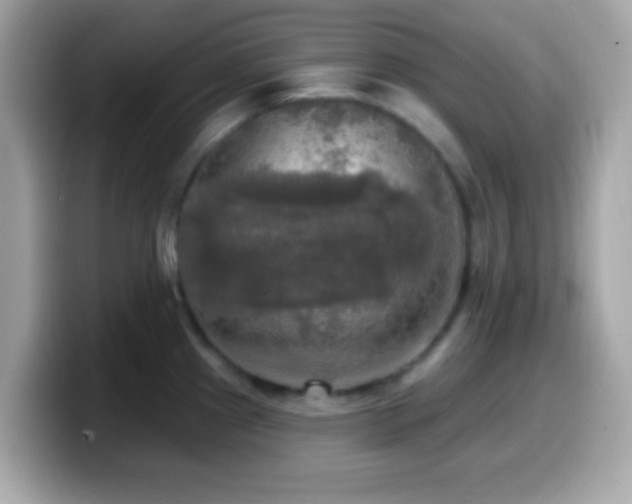 X0000099951241200805231315