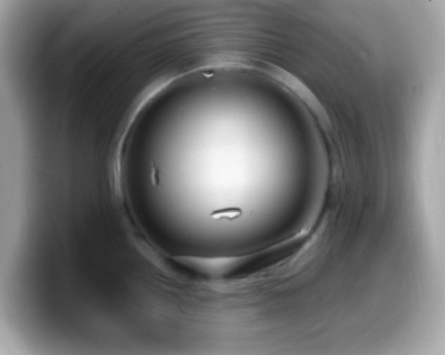 X0000099951242200805231315