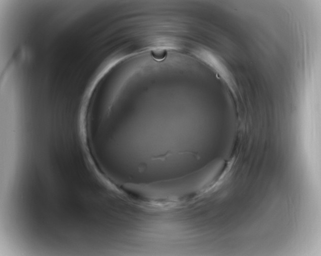 X0000099951243200805231315