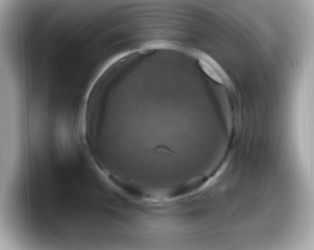 X0000099951244200805231315