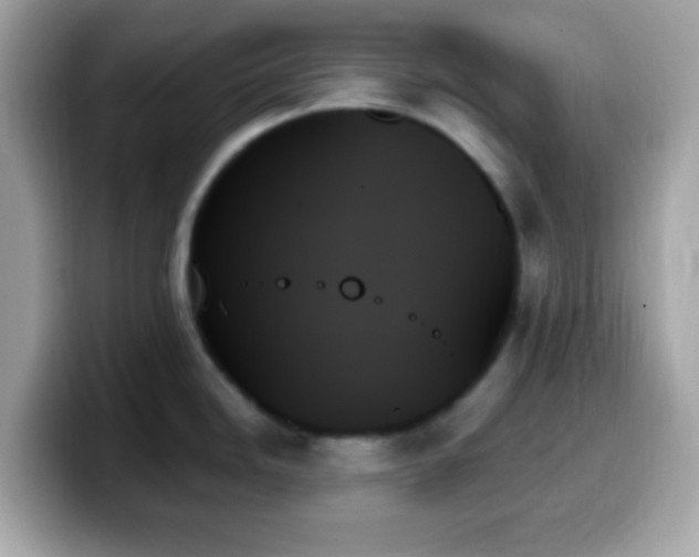 X0000099951246200805231315