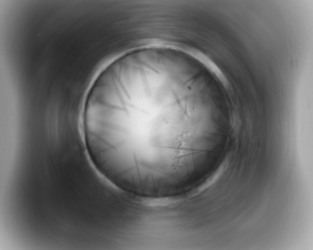 X0000099951247200805231315