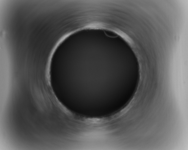 X0000099951248200805231315