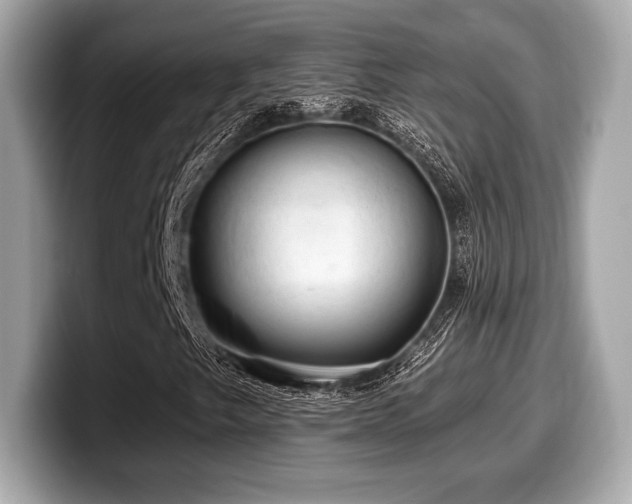 X0000099951249200805231314