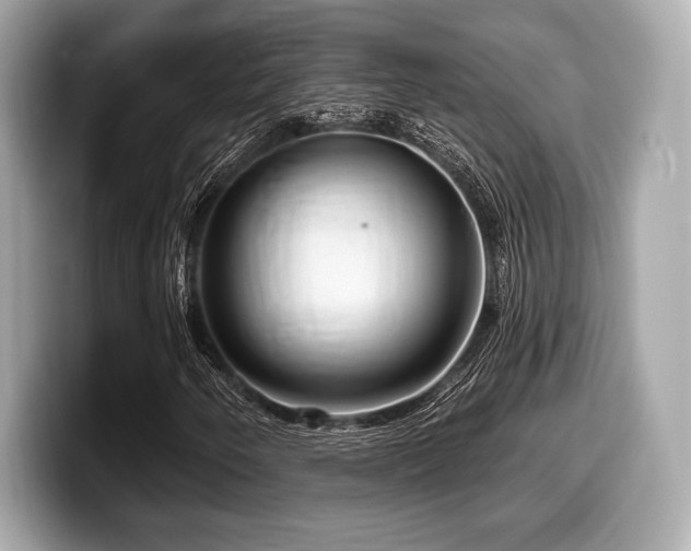 X0000099951250200805231314