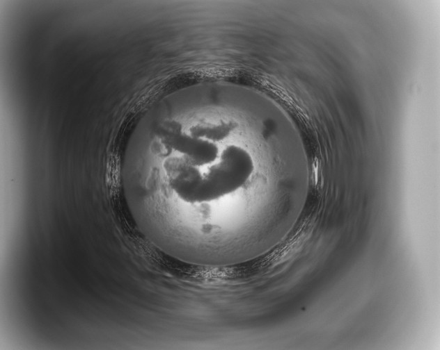 X0000099951251200805231314