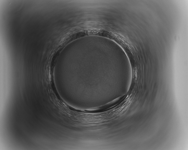 X0000099951252200805231314