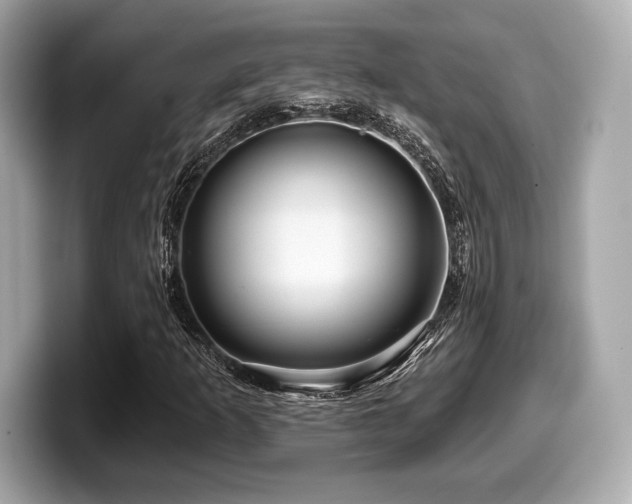 X0000099951253200805231314