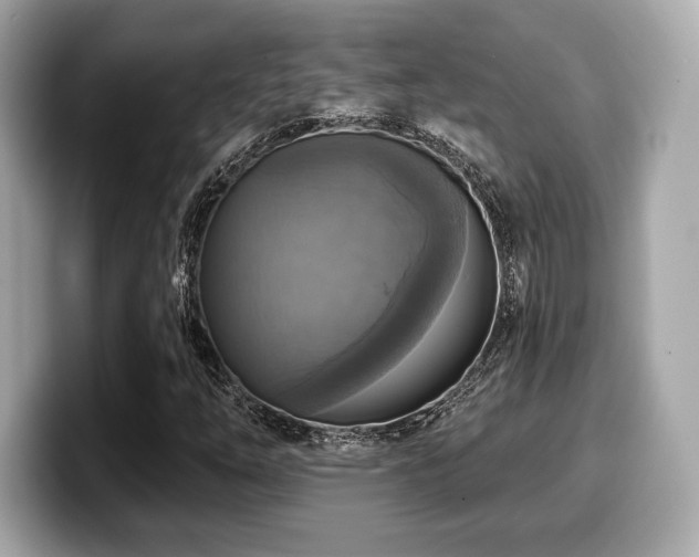 X0000099951254200805231314