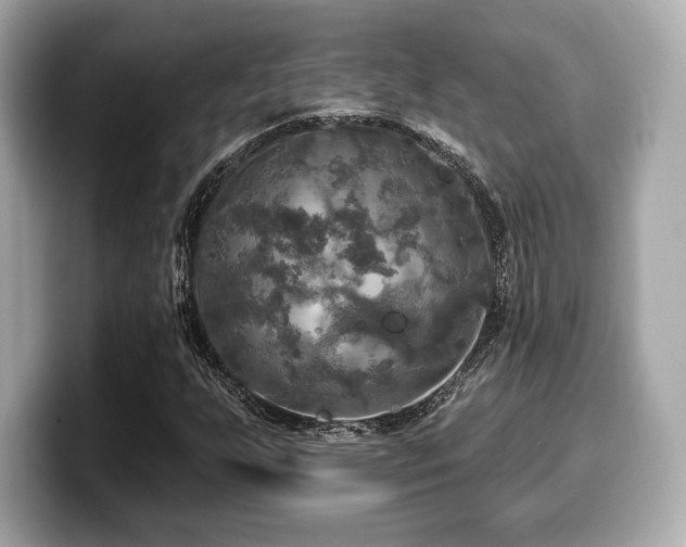 X0000099951255200805231314