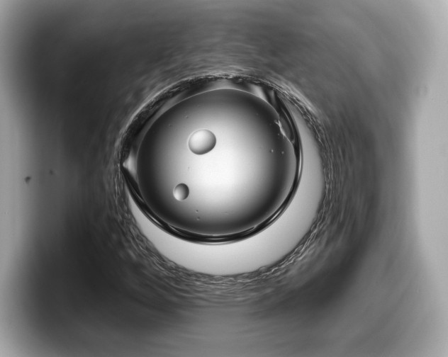 X0000099951256200805231314