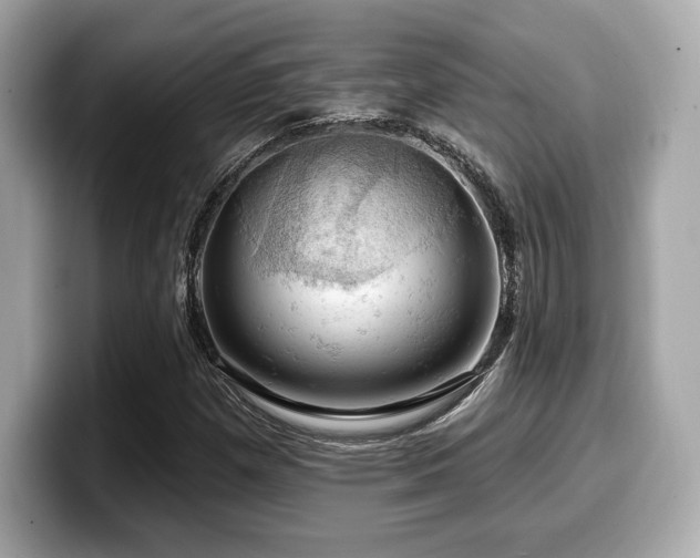 X0000099951257200805231314