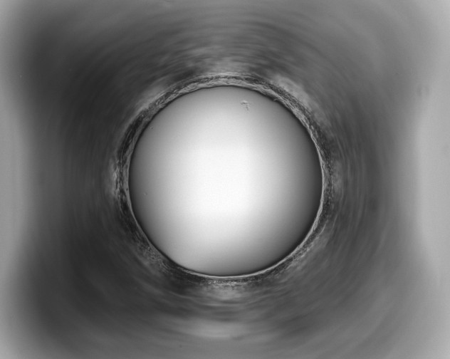 X0000099951258200805231314