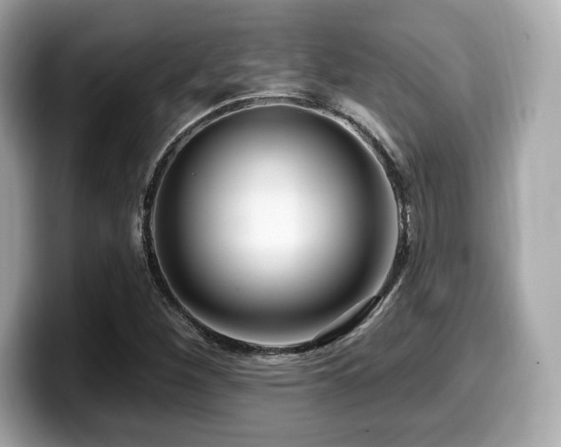 X0000099951260200805231314