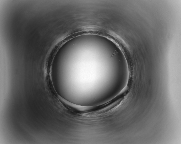 X0000099951261200805231314