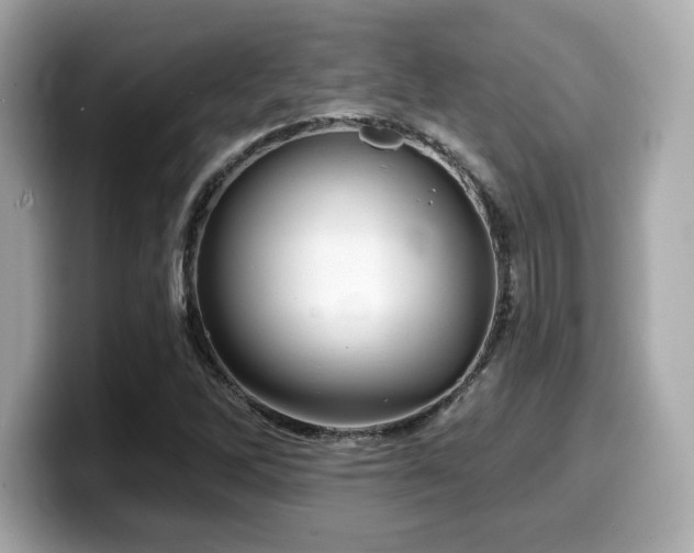 X0000099951262200805231314
