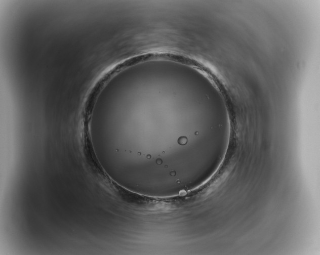 X0000099951263200805231314
