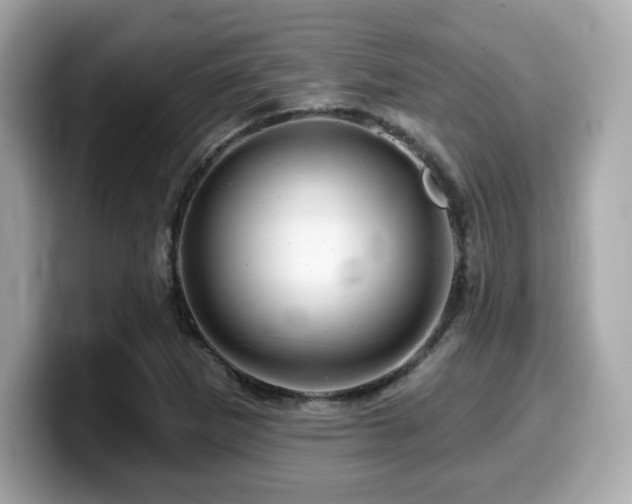 X0000099951265200805231314