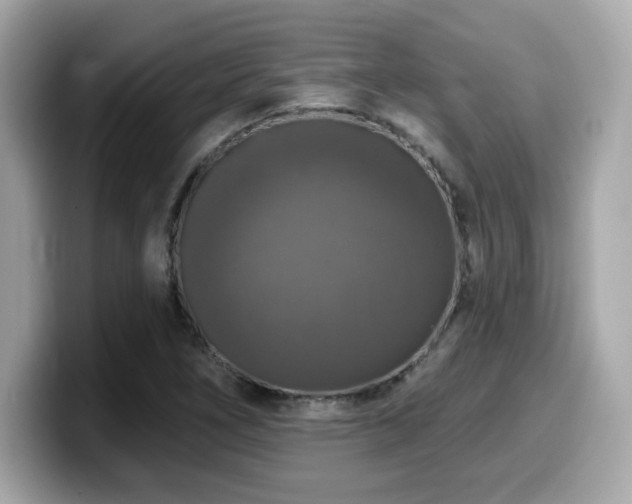 X0000099951266200805231314