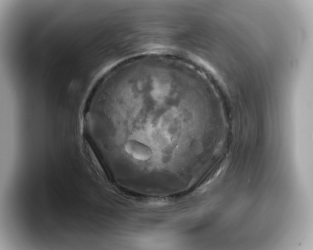 X0000099951267200805231314