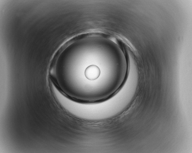 X0000099951268200805231314