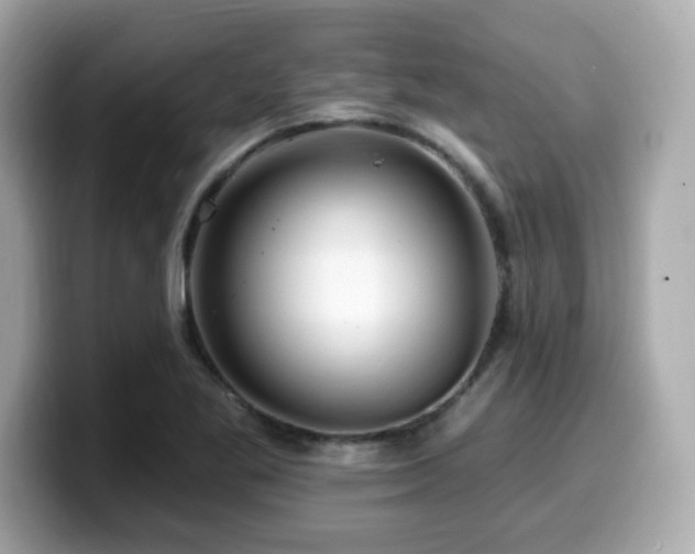 X0000099951269200805231314