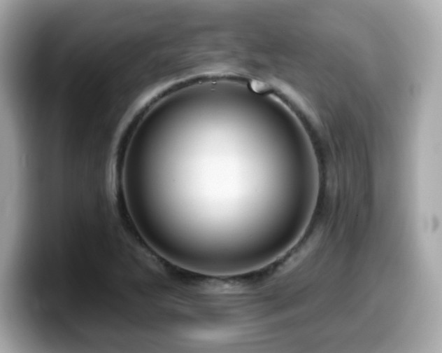 X0000099951270200805231314