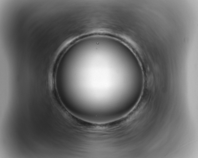 X0000099951271200805231314