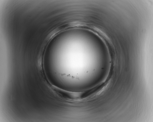 X0000099951273200805231314
