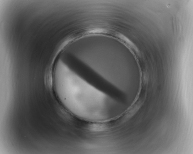X0000099951274200805231314